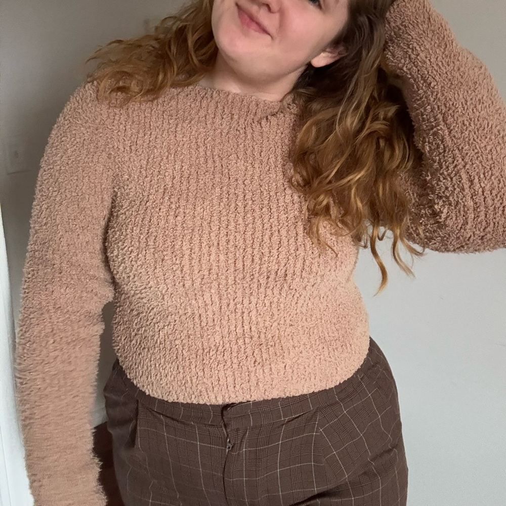 Aerie Teddy Fuzzy Mock Neck Cropped Sweater